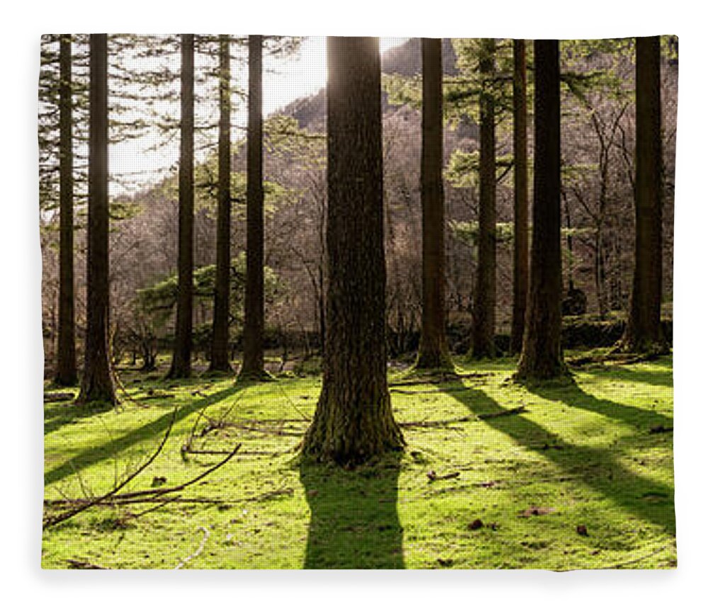 Panorama Fleece Blanket featuring the photograph Lake District Woodland by Sonny Ryse
