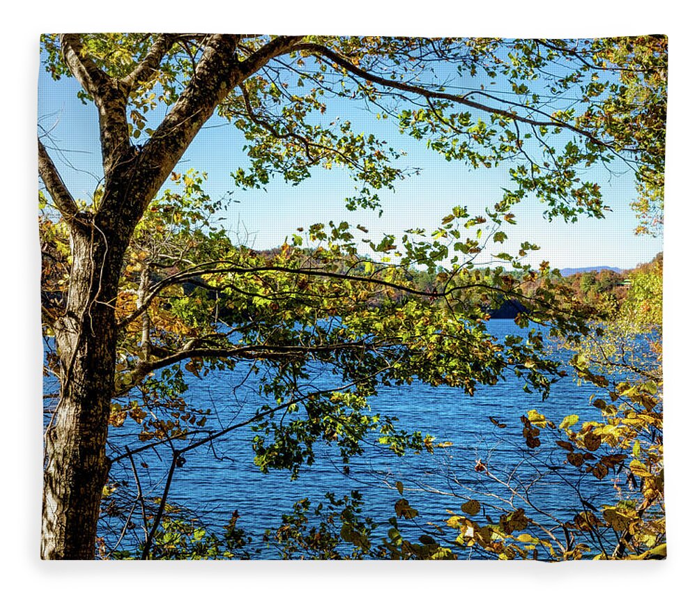 Carolina Fleece Blanket featuring the photograph Lakeview by Debra and Dave Vanderlaan