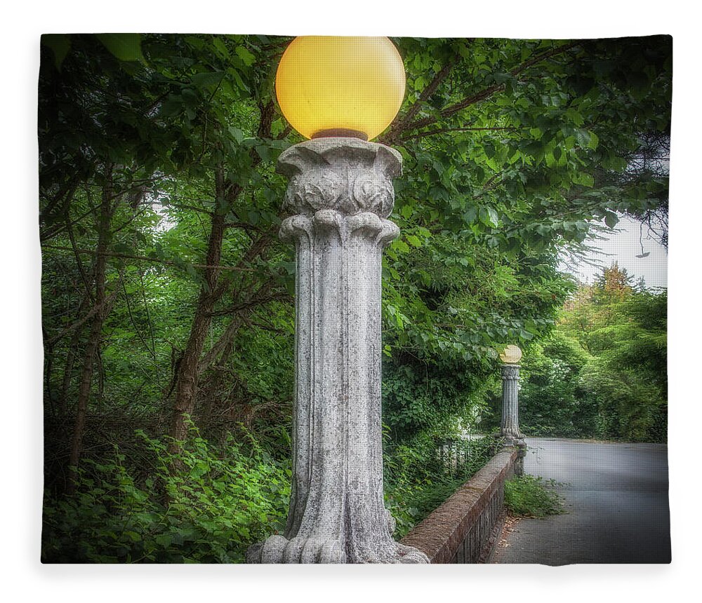 Lamp Fleece Blanket featuring the photograph Lamp along Shady Lane, Ross by Donald Kinney