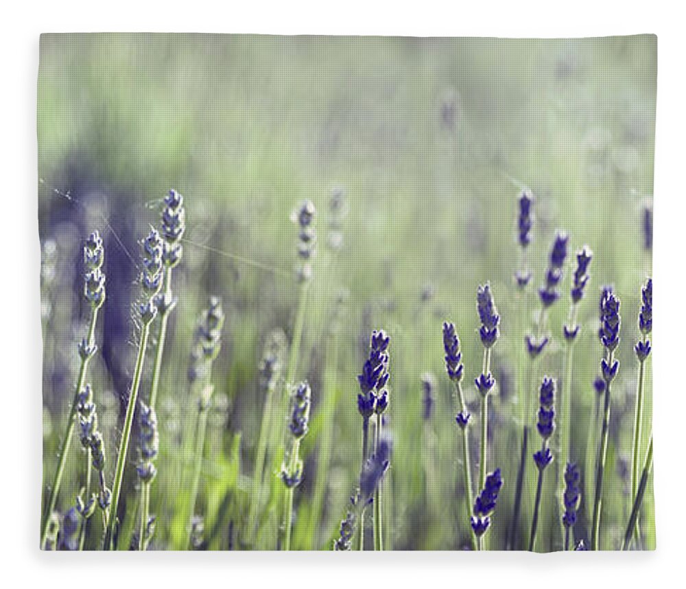 Lavender Fleece Blanket featuring the photograph Lavender flower in field by Jelena Jovanovic