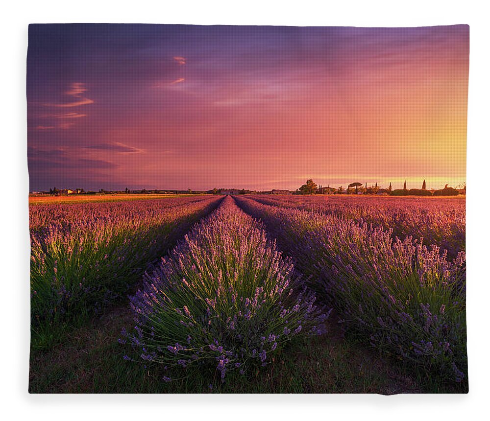 Lavender Fleece Blanket featuring the photograph Lavender flowers fields and a beautiful sunset. Tuscany by Stefano Orazzini