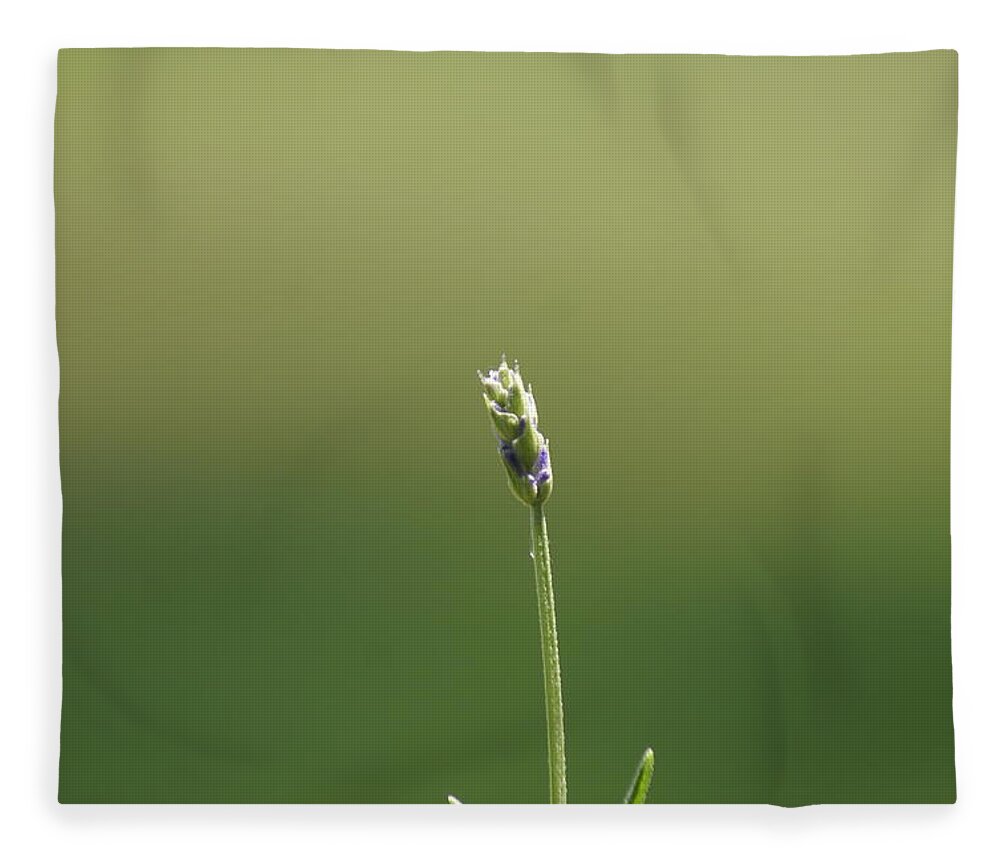  Fleece Blanket featuring the photograph Lavender by Heather E Harman