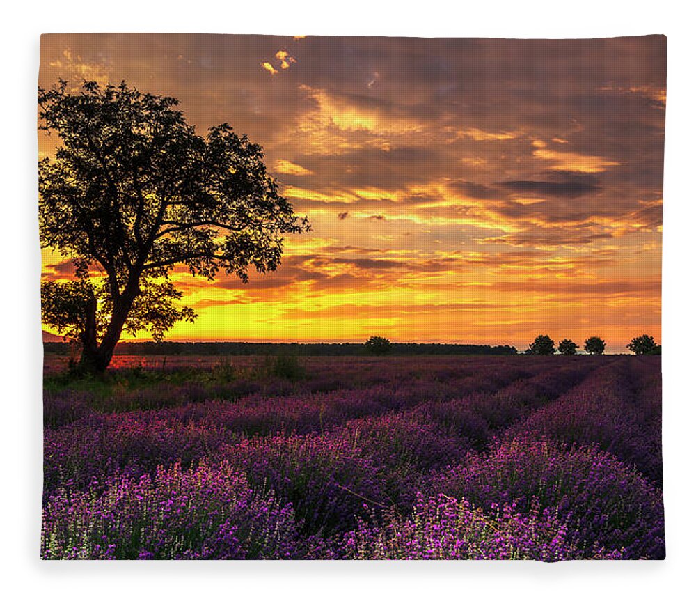 Bulgaria Fleece Blanket featuring the photograph Lavender Sunrise by Evgeni Dinev