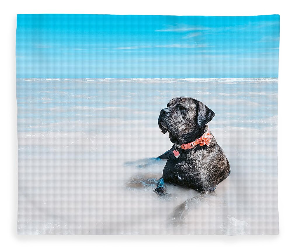 Cane Corso Fleece Blanket featuring the photograph Lazy Days - Daisy the Cane Corso at the Beach by Bonny Puckett