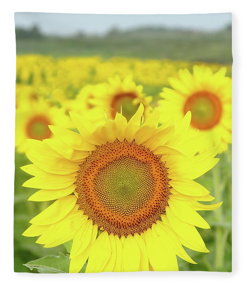 Sunflower Fleece Blanket featuring the photograph Leader Of The Pack by Lens Art Photography By Larry Trager