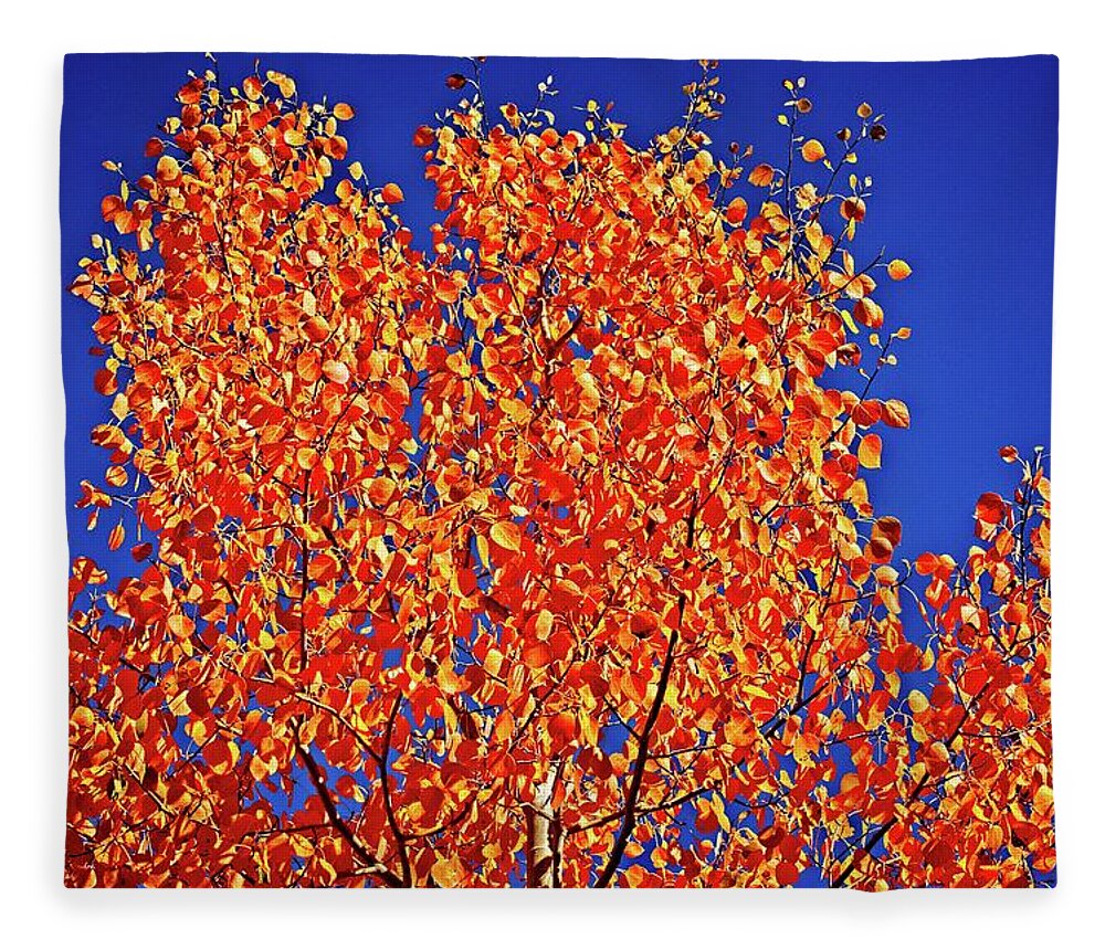 Orange Fleece Blanket featuring the photograph Leaves Of Orange by David Desautel
