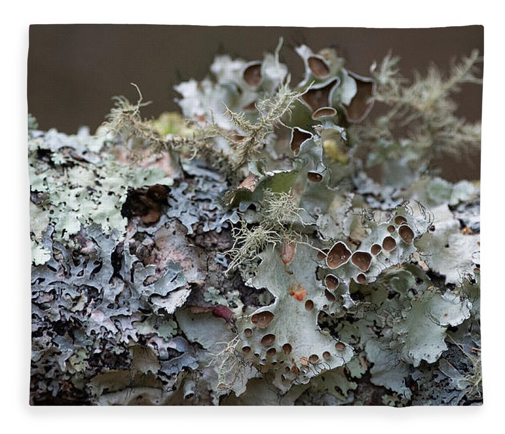 Lichen Fleece Blanket featuring the photograph Lichen Sampler by Linda Bonaccorsi