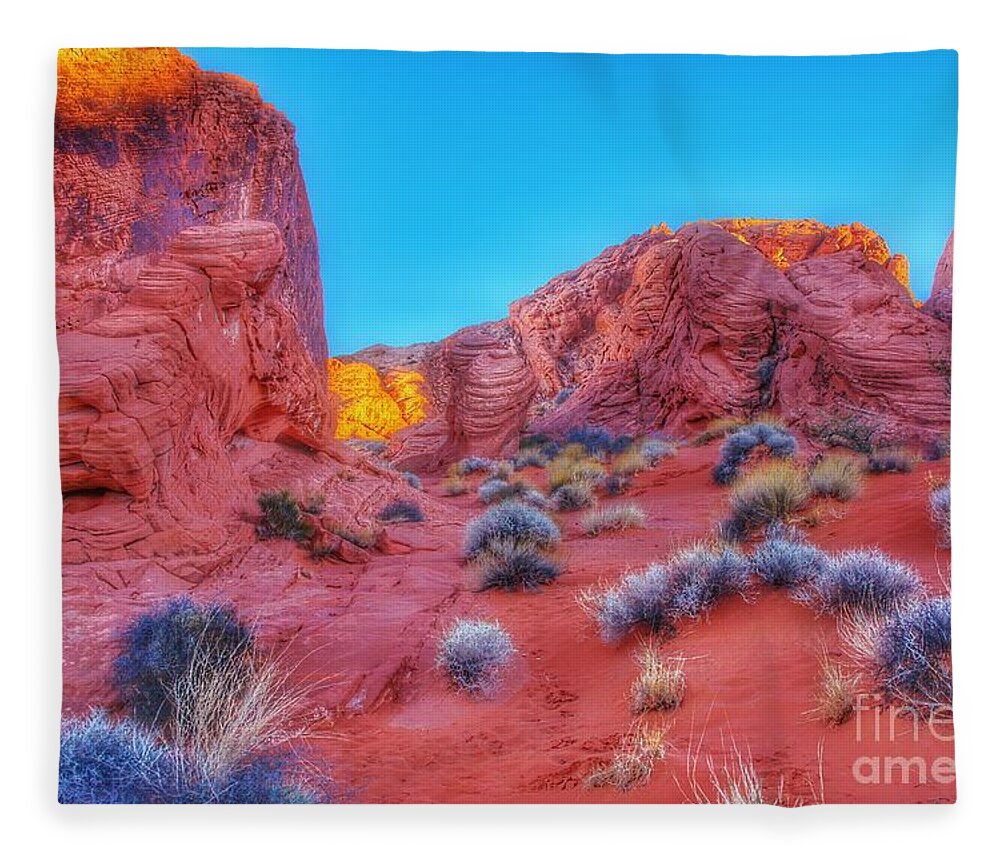  Fleece Blanket featuring the photograph Life on Mars 2 by Rodney Lee Williams