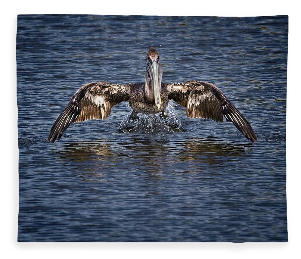 Brown Pelican Fleece Blanket featuring the photograph Liftoff by Ronald Lutz