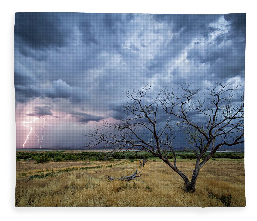 Storm Fleece Blanket featuring the photograph Lightning Strike with Tree by Wesley Aston