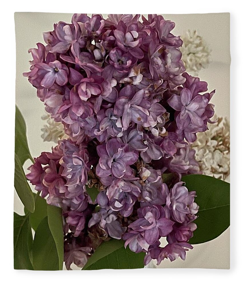 Lilacs Fleece Blanket featuring the photograph Lilacs by Lisa White