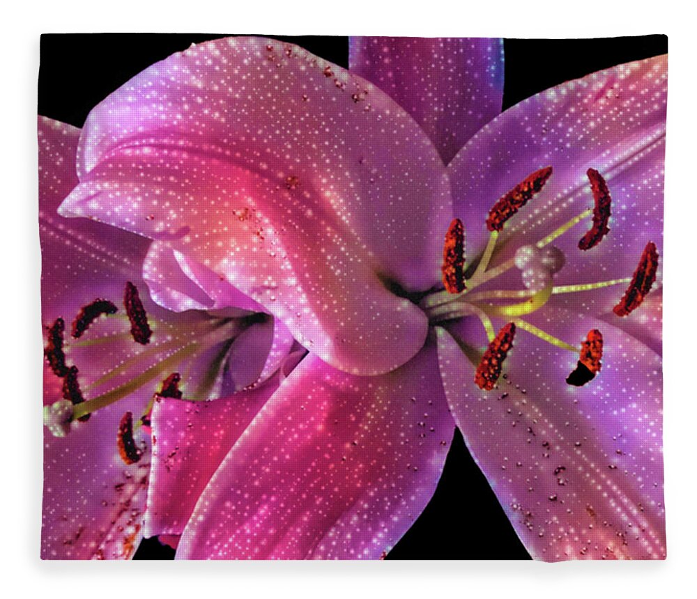 Photographs Fleece Blanket featuring the photograph Lillies on Black by Pheasant Run Gallery