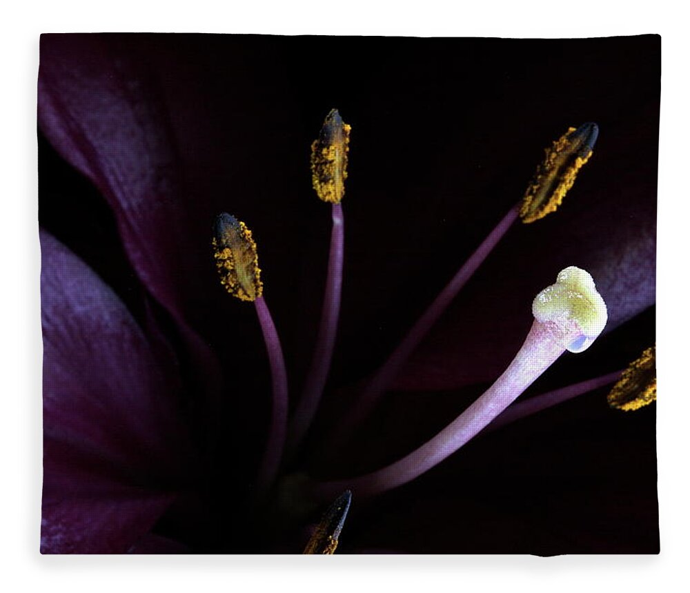 Botanica Fleece Blanket featuring the photograph Lily 3684 by Julie Powell