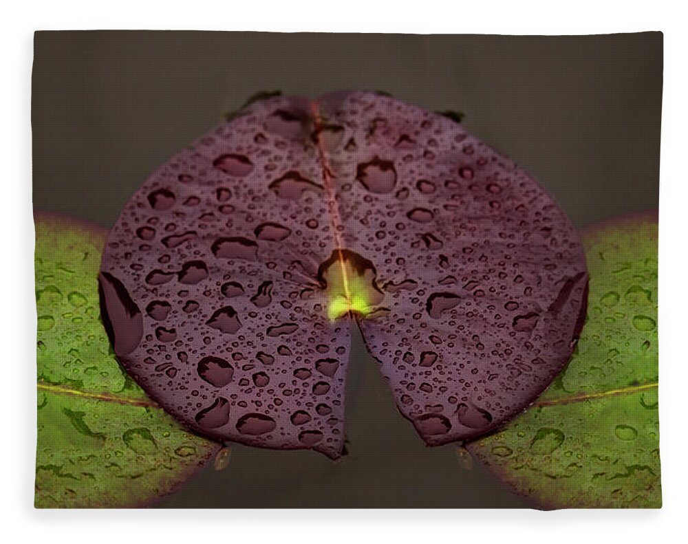 Lilly Pads Fleece Blanket featuring the photograph Lily Pads by Cheryl Day