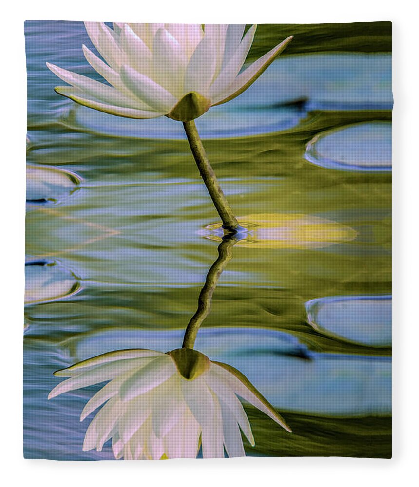Flower Fleece Blanket featuring the photograph Lily Reflection by Cathy Kovarik