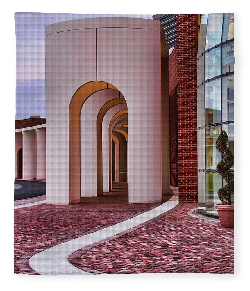 Arches Fleece Blanket featuring the photograph Lines and Arches at The Ferguson Center for the Arts with the Peninsula Fine Arts Center by Ola Allen