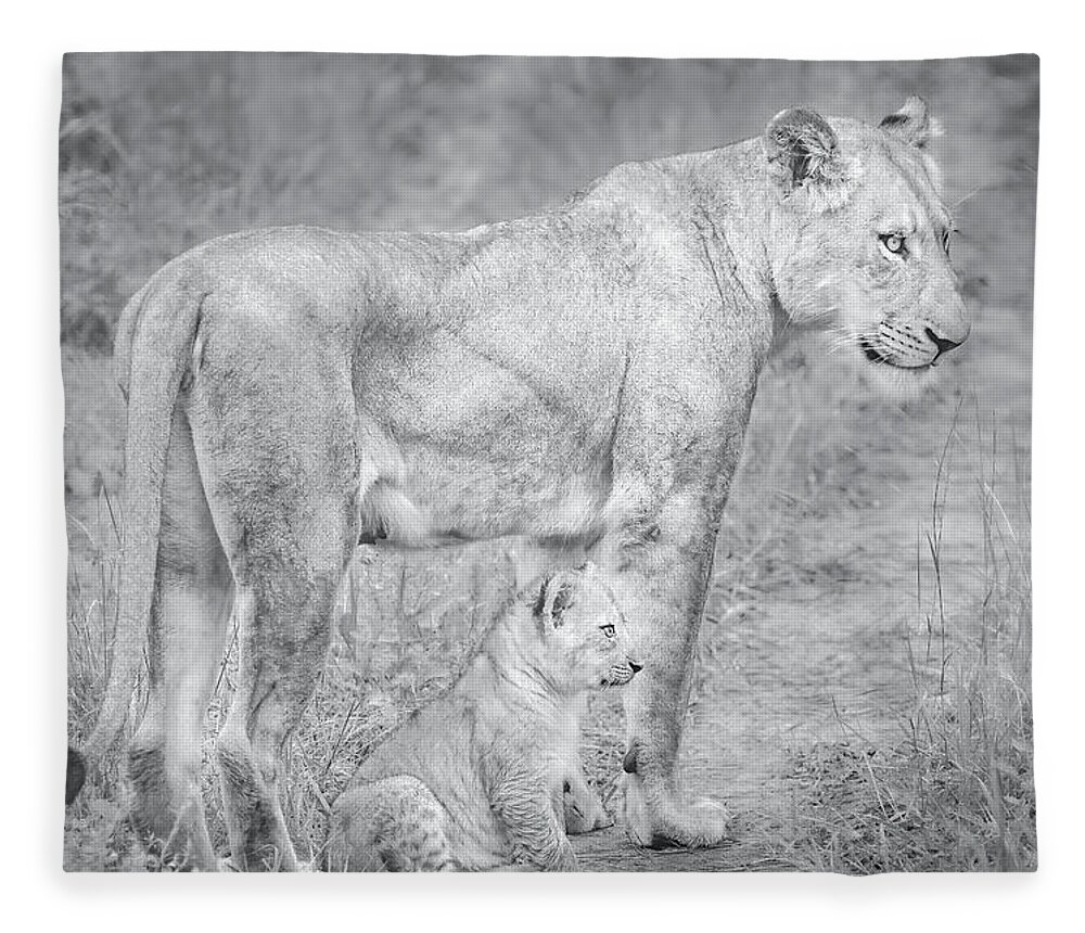 Lions Black And White Fleece Blanket featuring the photograph Lioness and Cub Near Kruger National Park, on the Sabi Sands Reserve by Rebecca Herranen