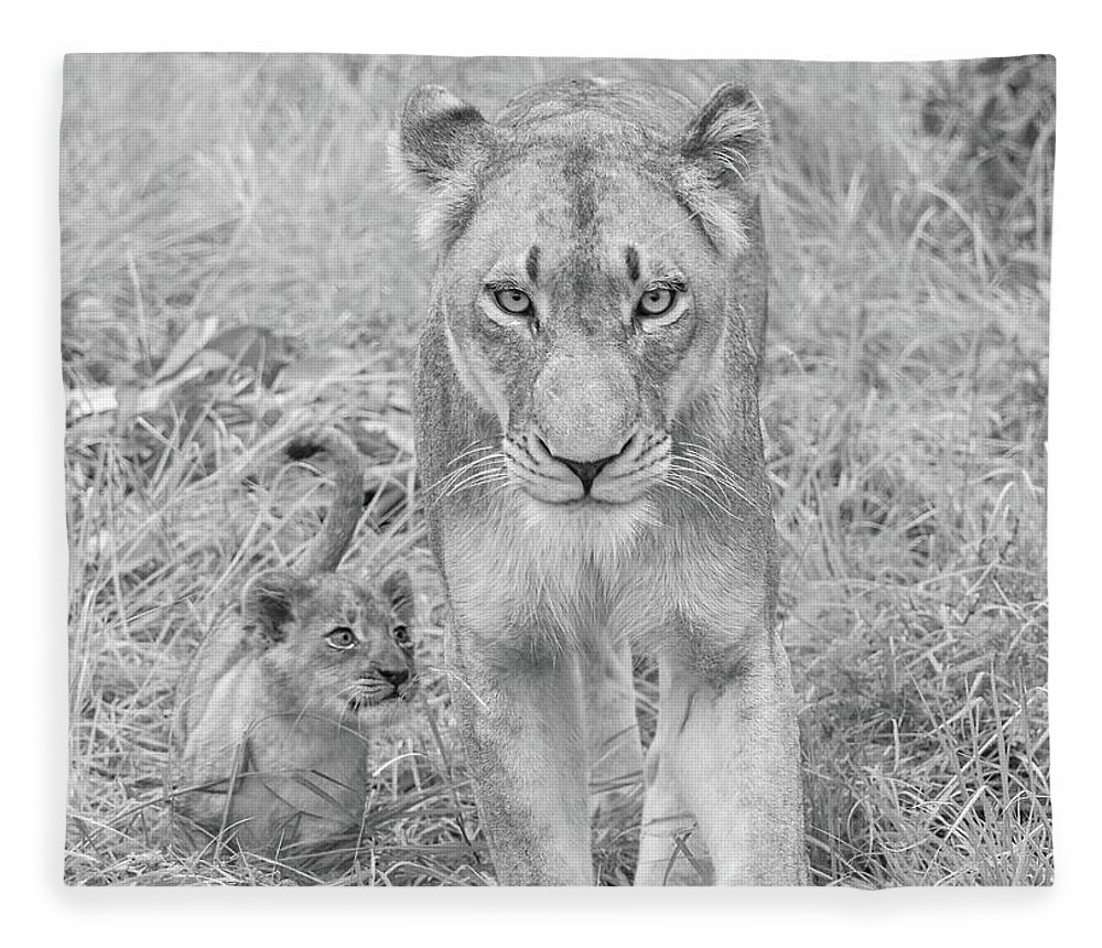 Lioness Fleece Blanket featuring the photograph Lioness and Cub Walking by Rebecca Herranen