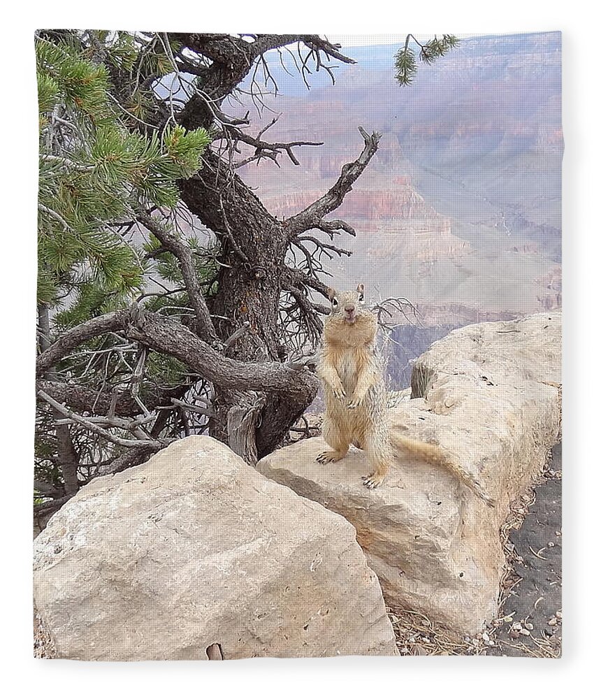 Little Animal Fleece Blanket featuring the photograph little animal Grand Canyon by Joelle Philibert