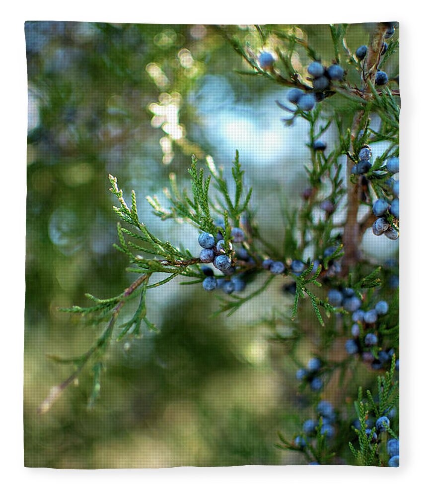 Cedar Tree Fleece Blanket featuring the photograph Little Berries by Karen Harrison Brown