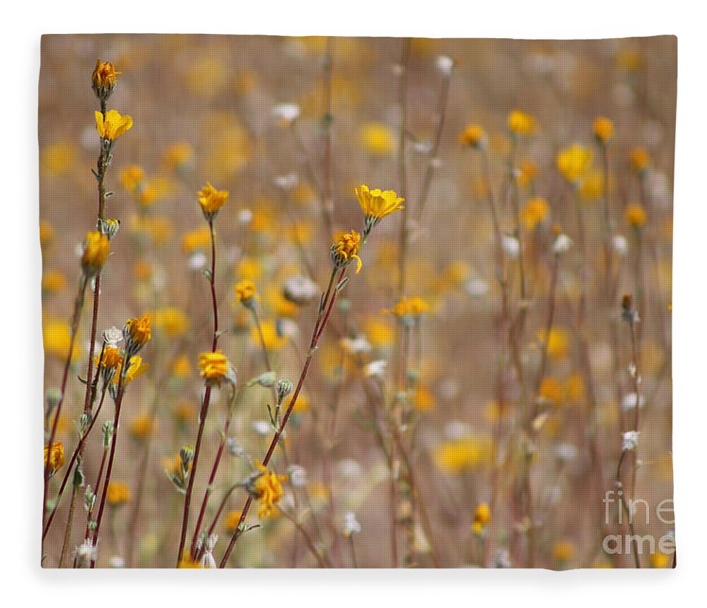 Sunshine Fleece Blanket featuring the photograph Little Drops of Sunshine Coachella Valley Wildlife Preserve by Colleen Cornelius