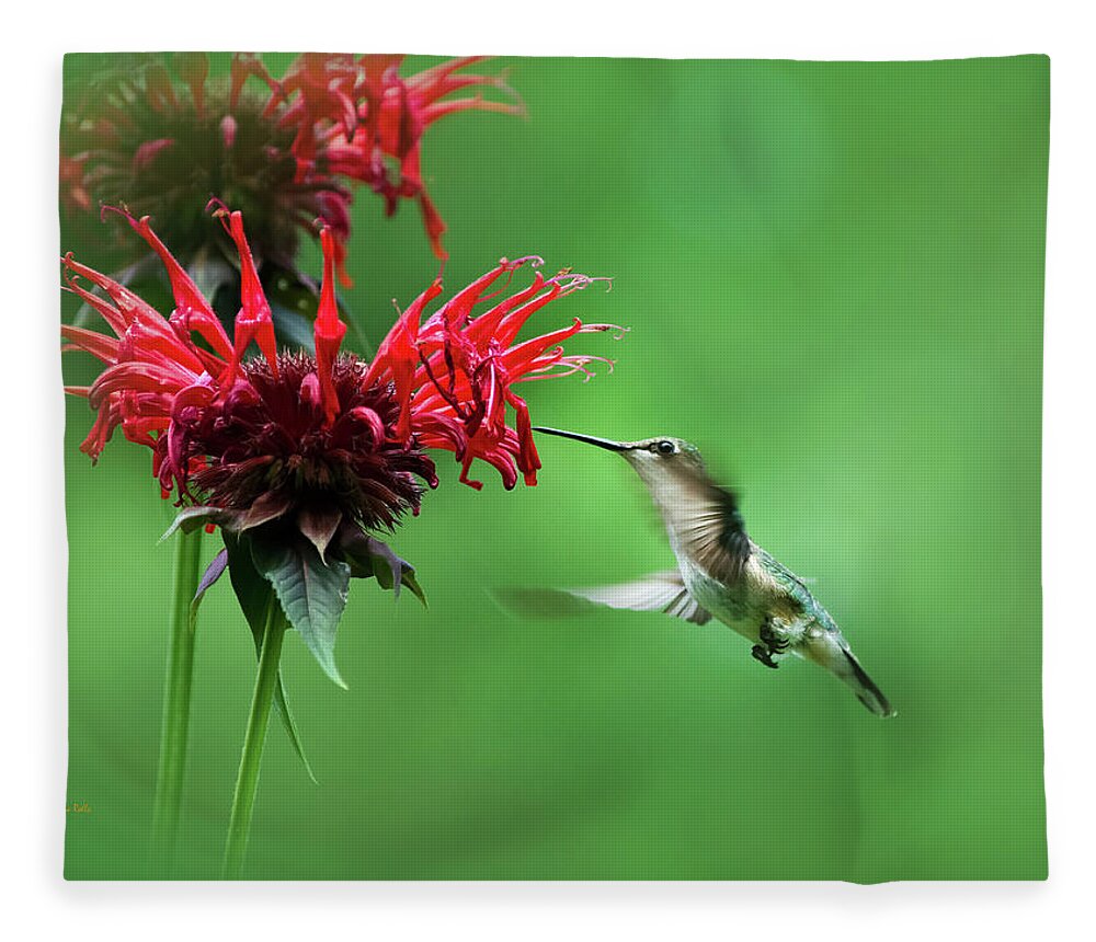 Bird Fleece Blanket featuring the photograph Little Garden Jewel by Christina Rollo