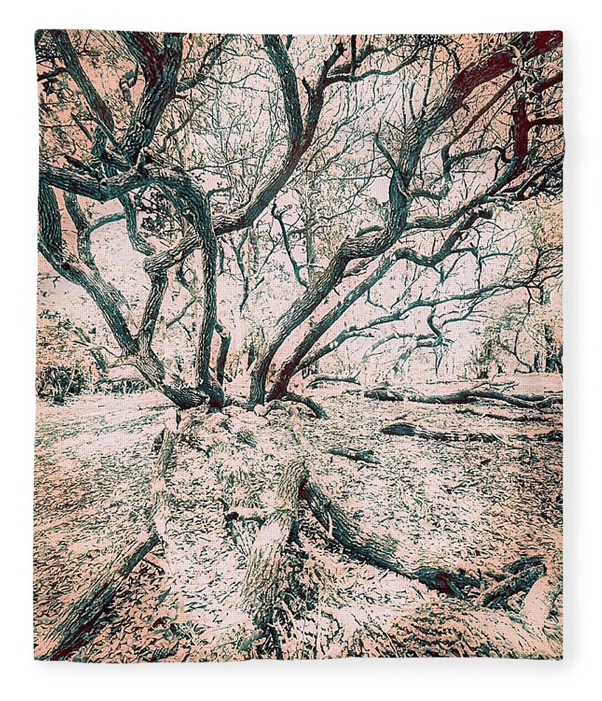 North Carolina Fleece Blanket featuring the digital art Live Oak Tree of Life fx by Dan Carmichael