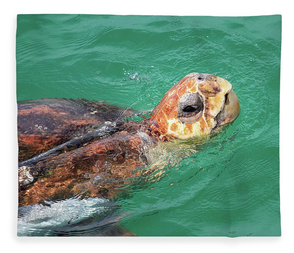 Sea Turtle Fleece Blanket featuring the photograph Loggerhead Sea Turtle Side View by Jordan Hill