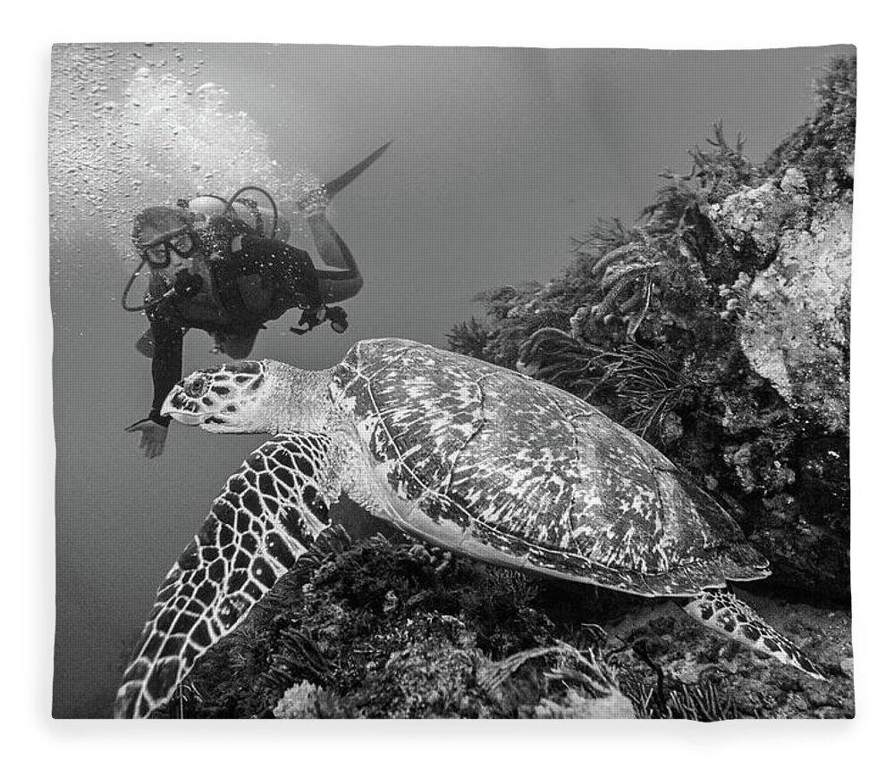 Black Fleece Blanket featuring the photograph Loggerhead Turtle and Diver Black and White by Debra and Dave Vanderlaan