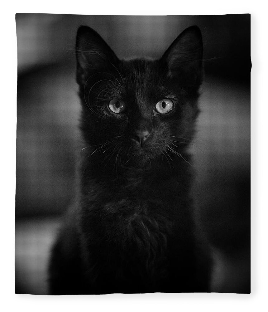 Cat Fleece Blanket featuring the photograph Loki by DArcy Evans