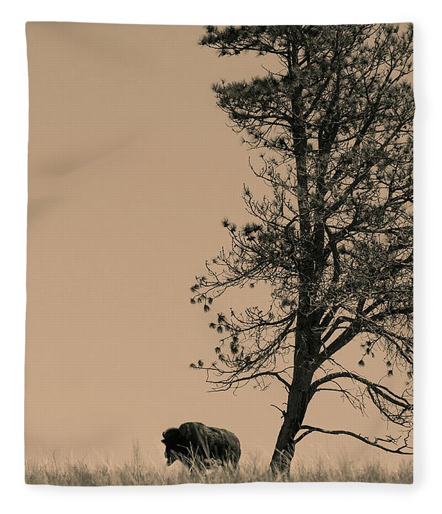 Bison Fleece Blanket featuring the photograph Lone Bison by Larry Bohlin