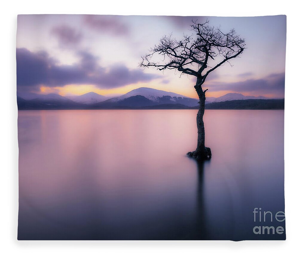 Loch Lomond Fleece Blanket featuring the photograph Lone tree dusk at Milarrochy Bay, Loch Lomond, Scotland by Neale And Judith Clark