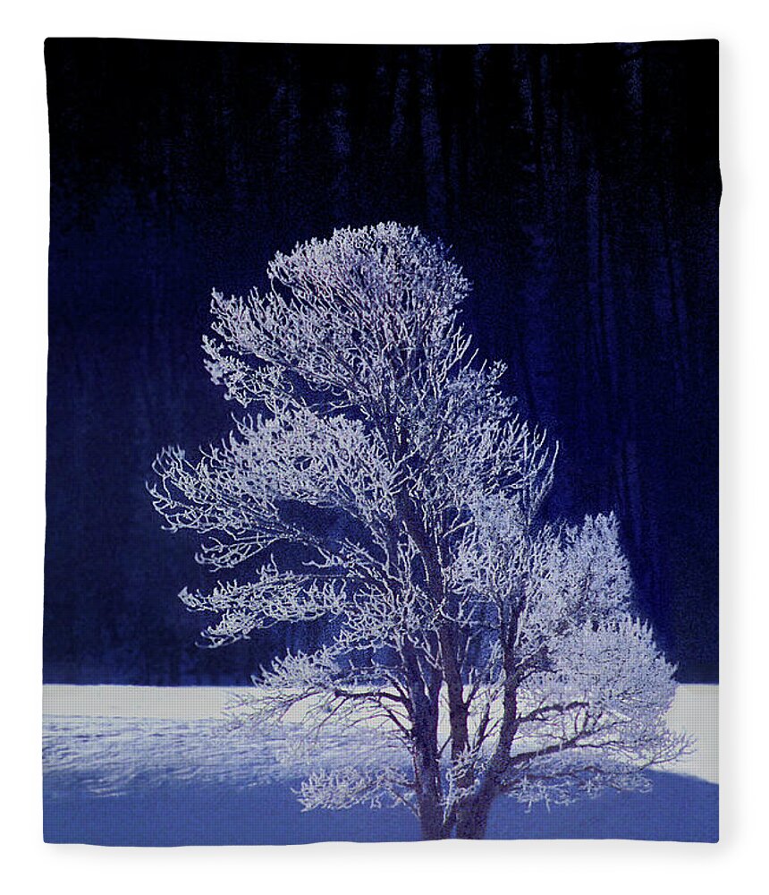 Dave Welling Fleece Blanket featuring the photograph Lonely Rime Ice Covered Tree Yellowstone National Park by Dave Welling