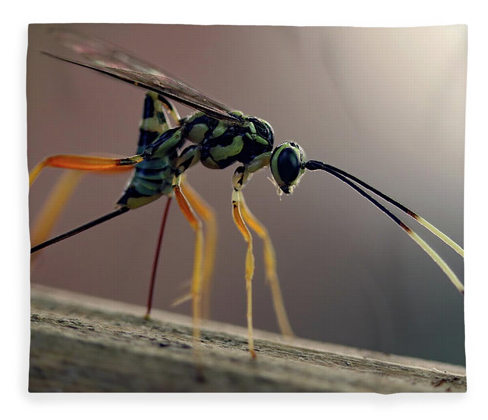 Insects Fleece Blanket featuring the photograph Long Legged Alien by Jennifer Robin