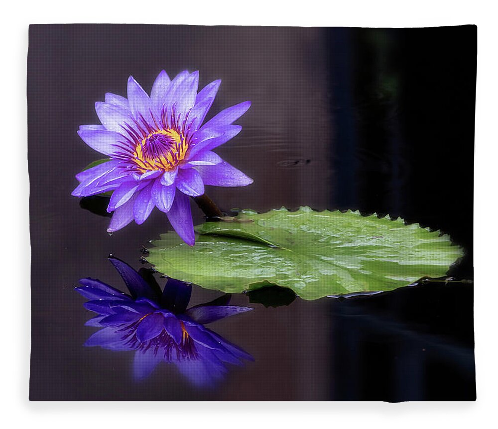 Summer Fleece Blanket featuring the photograph Looking glass. by Usha Peddamatham