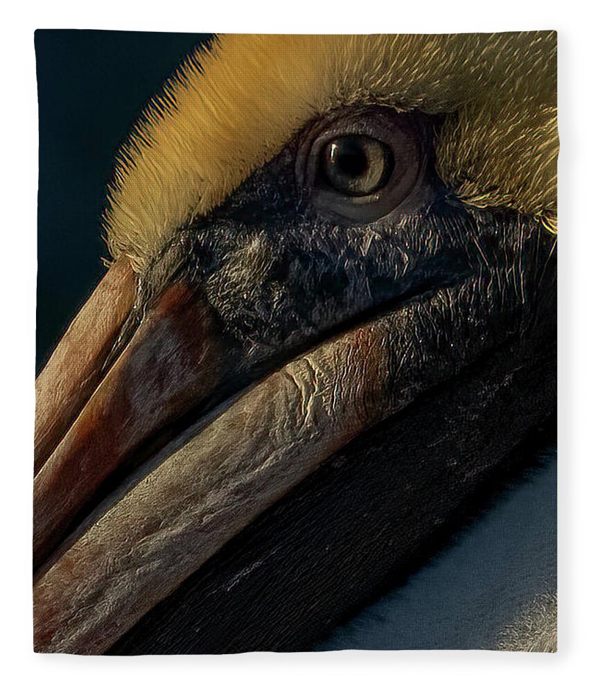 Pelican Fleece Blanket featuring the photograph Looking Weathered by RD Allen