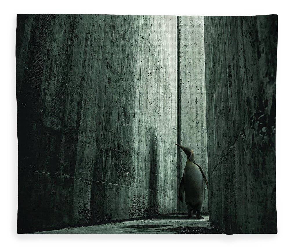 Light Penguin Animal Dark Old Shadow Dirty Concrete Abandoned Fleece Blanket featuring the digital art Lost Animals - Series nr.6 by Zoltan Toth