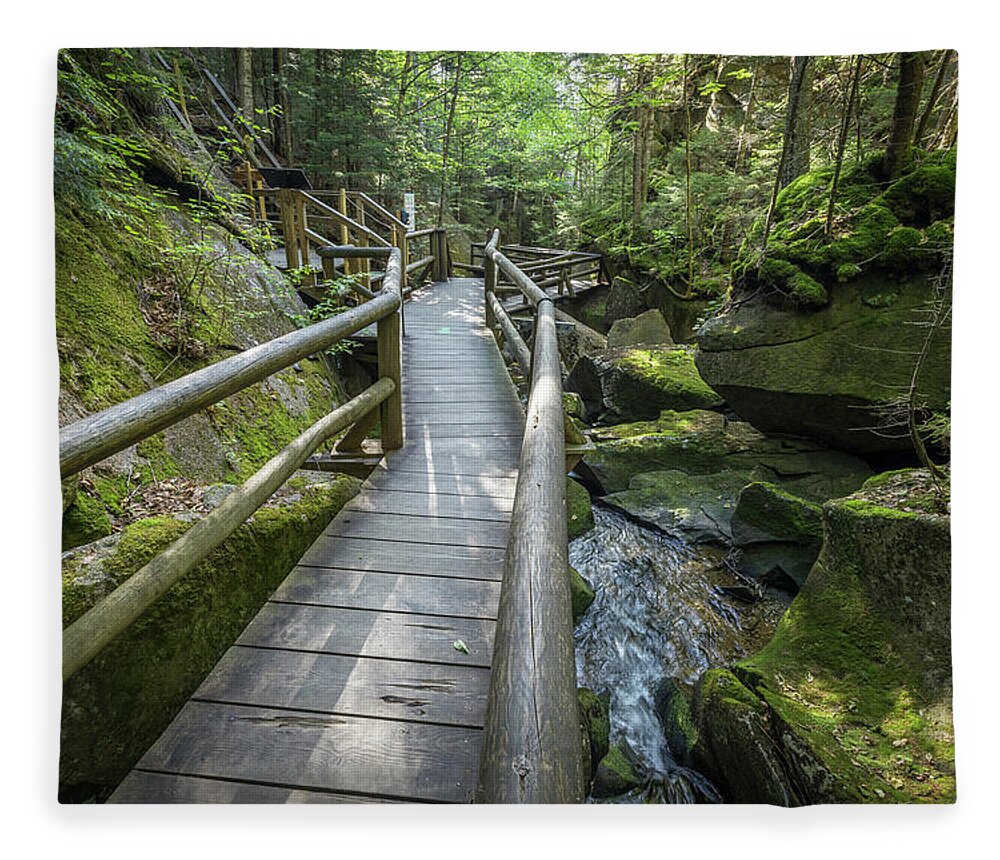 Lost Fleece Blanket featuring the photograph Lost River Boardwalk 66 by White Mountain Images
