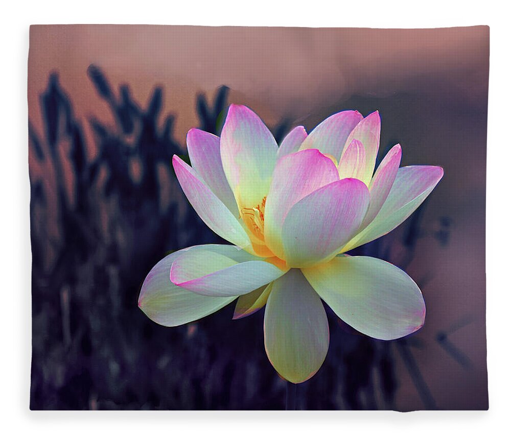 Lotus Fleece Blanket featuring the photograph Lotus Afloat by Jessica Jenney