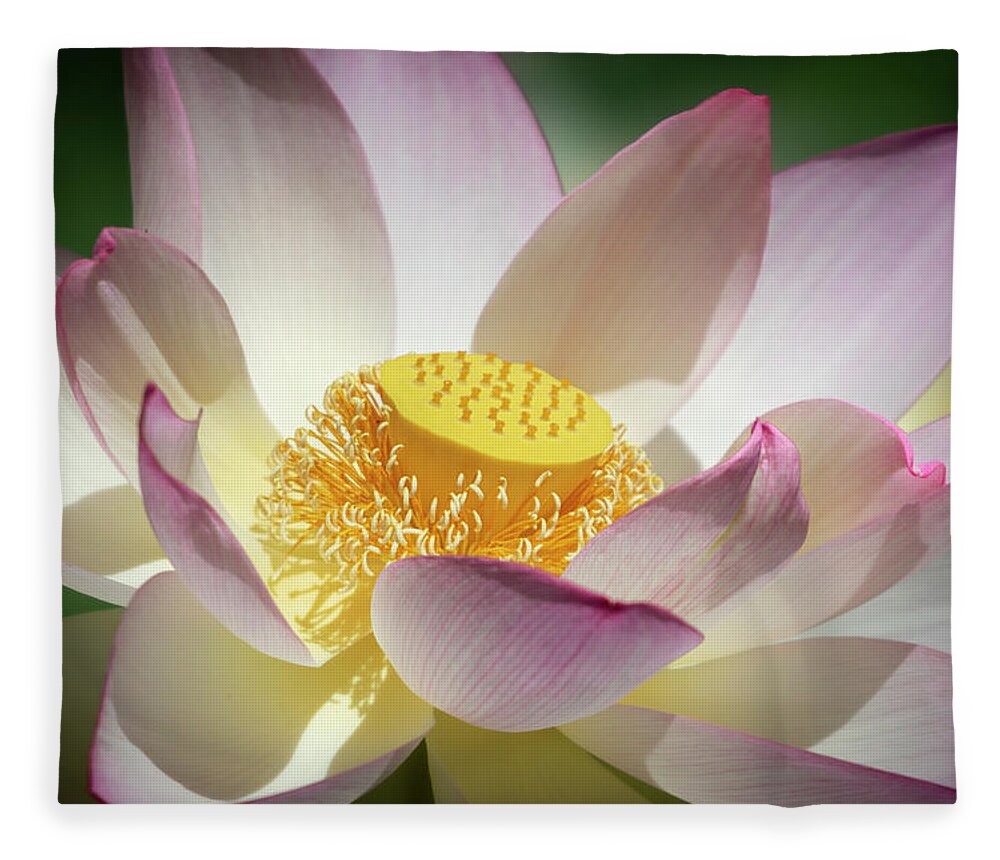 Flower Fleece Blanket featuring the photograph Lotus Flower Bloom by Gary Geddes