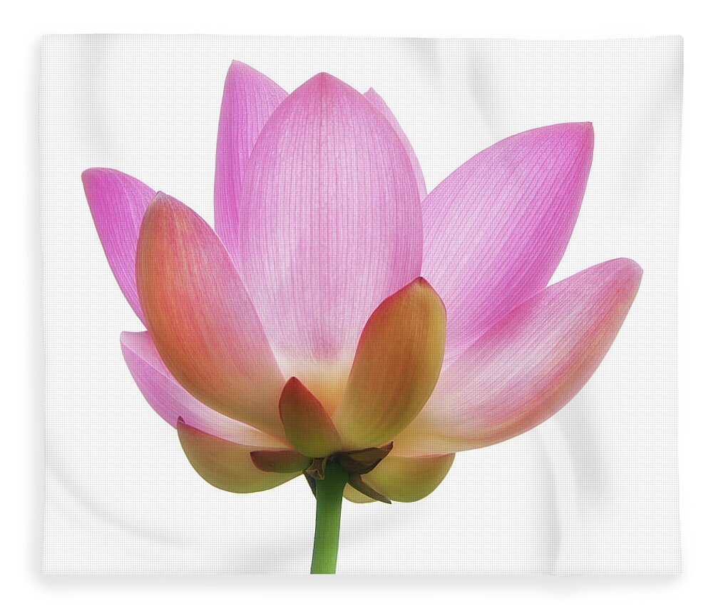 Lotus Fleece Blanket featuring the photograph Lotus by Louise Tanguay