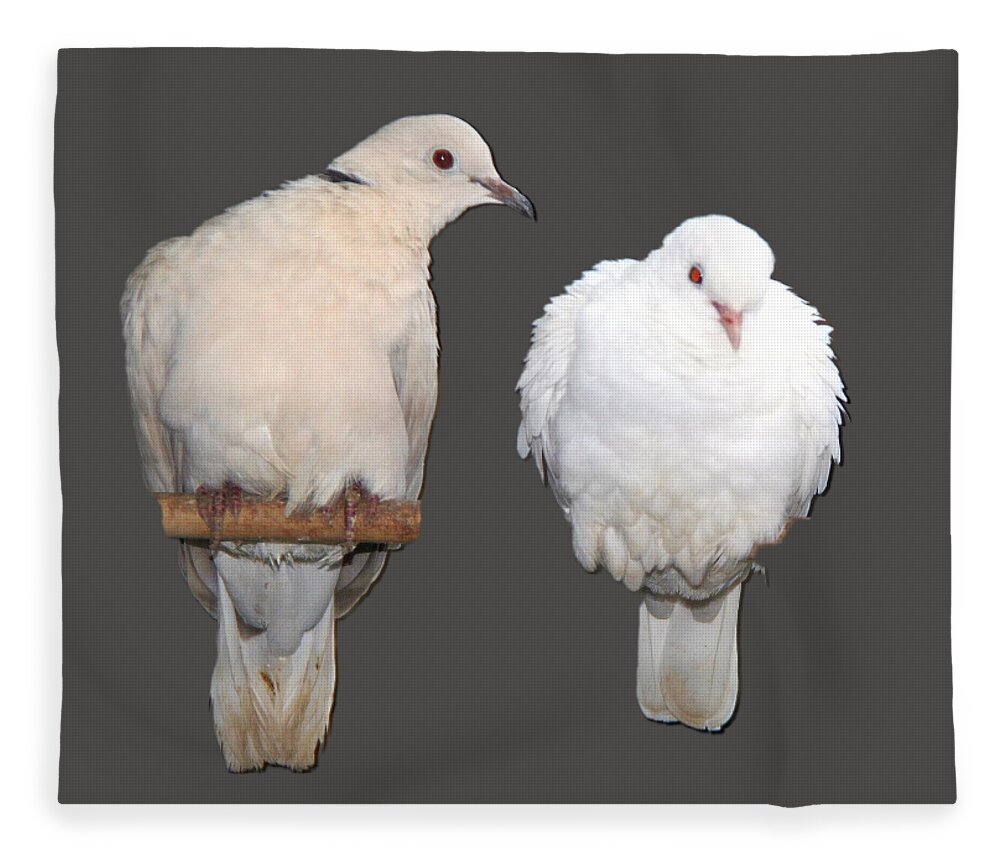 Dove Fleece Blanket featuring the photograph Love at frist sight by Andrea Lazar