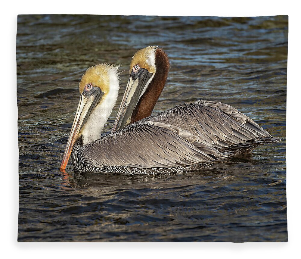 Pelican Fleece Blanket featuring the photograph Love Birds by JASawyer Imaging