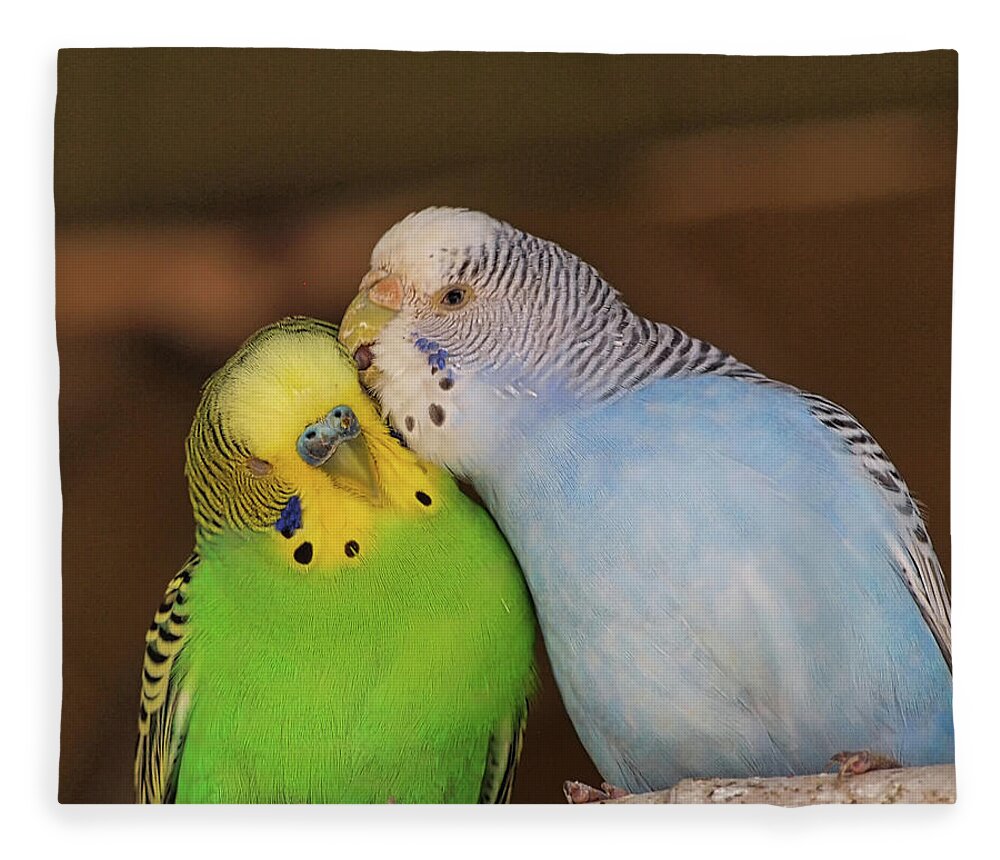 Budgerigars Parakeets Fleece Blanket featuring the photograph Love Birds by Scott Olsen