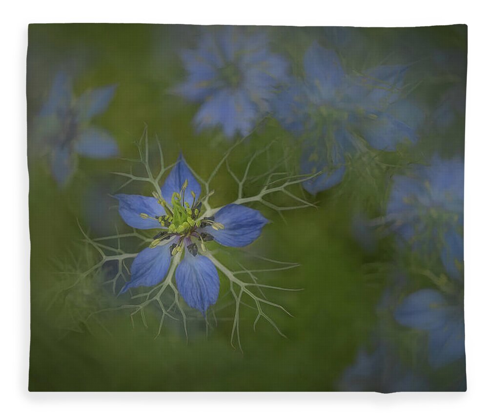 Love In A Mist Fleece Blanket featuring the photograph Love in a Mist in Nature by Sylvia Goldkranz