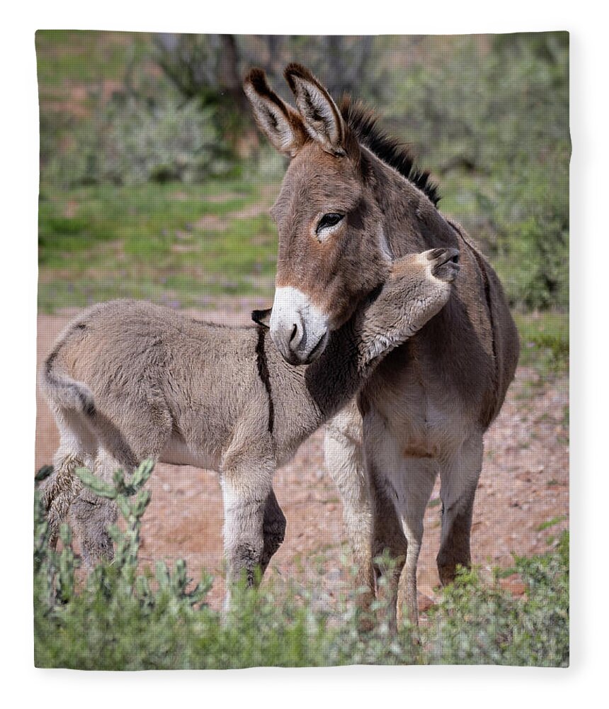 Wild Burro Fleece Blanket featuring the photograph Love you mom by Mary Hone