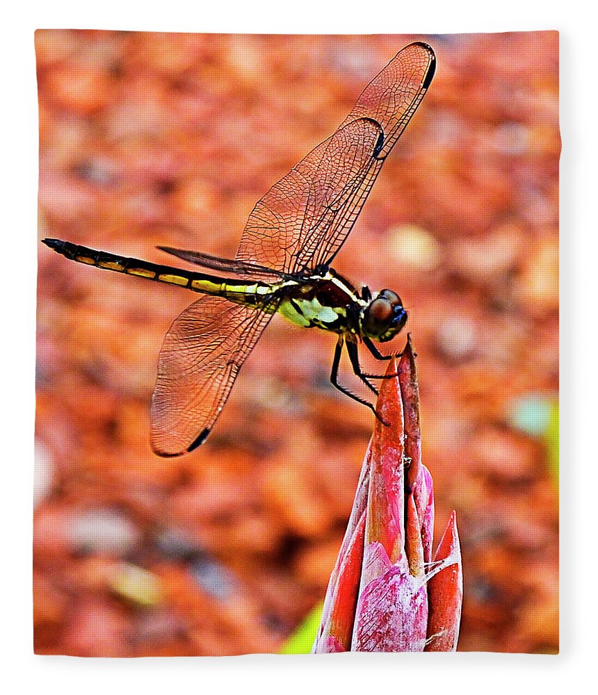 Dragonfly Fleece Blanket featuring the photograph Lovely Dragonfly by Bill Barber