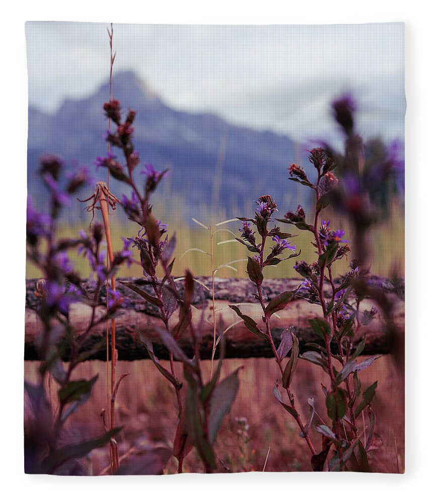 Mountain Fleece Blanket featuring the photograph Lovely Lavender in Front by Go and Flow Photos