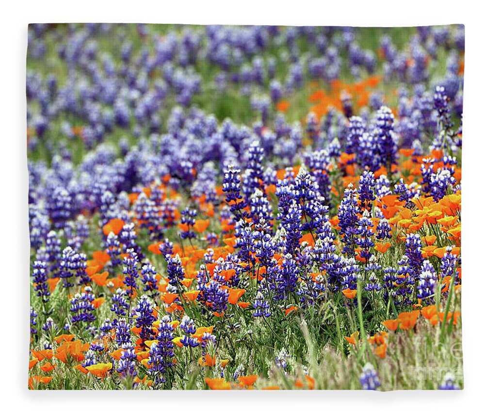 Lupine Fleece Blanket featuring the photograph Lupines and Poppies by Vivian Krug Cotton