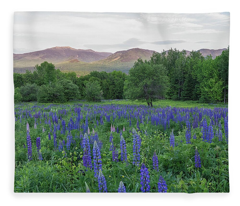 Gar Hill Fleece Blanket featuring the photograph Lupines Field in White Mountains by Bob Doucette